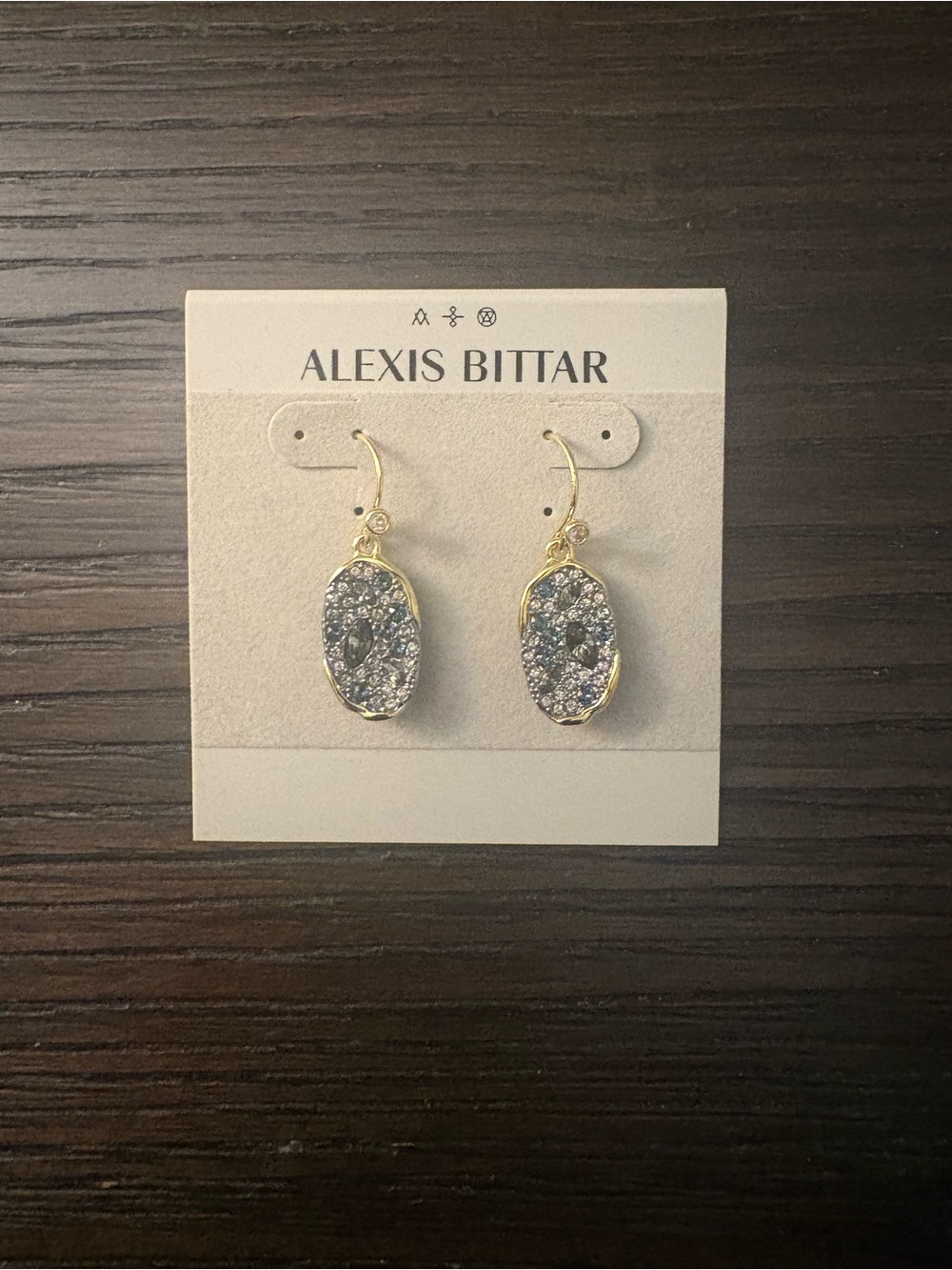 NEW Alexis Bittar Flat Drop Earrings